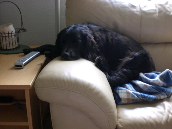 /Images/uploads/Humane Society of Utah/HSUCalendar/entries/952thumb.jpg